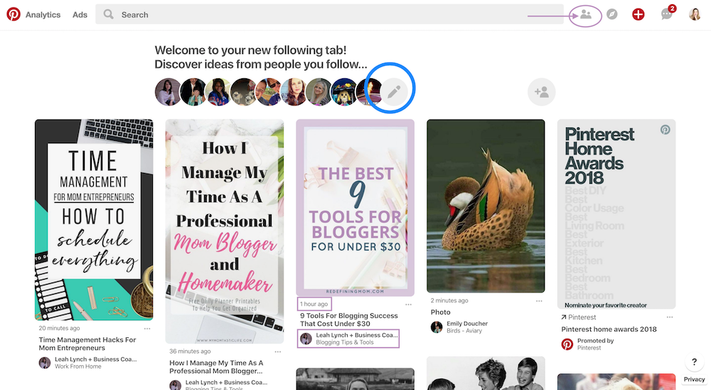 New Pinterest Following Feed 2018