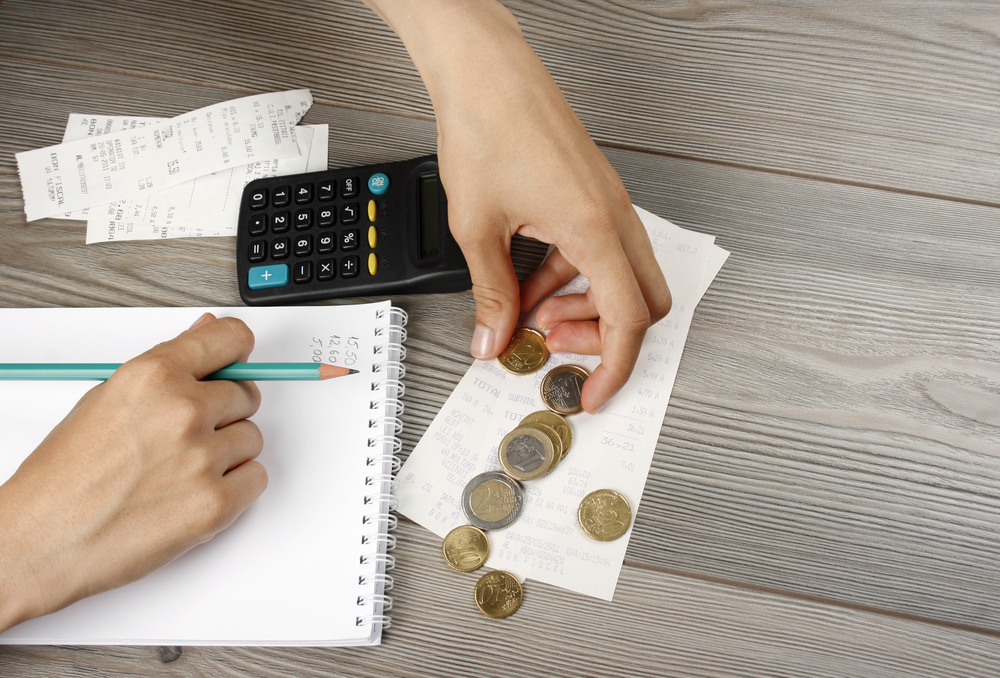 counting the household budget with family budget tools